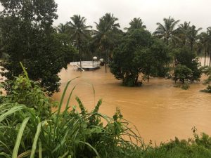 Flood in Kerala