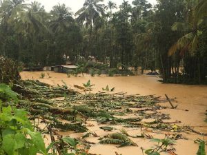 Flood in Kerala